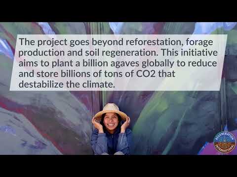 Greening the Desert: Agroforestry to Regenerate