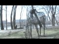 Run Away Ft. Delinquente 