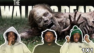 Download lagu THREE ZOMBIE HATERS WATCH *THE WALKING DEAD* FOR THE FIRST TIME!!! mp3 Download lagu THREE ZOMBIE HATERS WATCH *THE WALKING DEAD* FOR THE FIRST TIME!!! mp3
