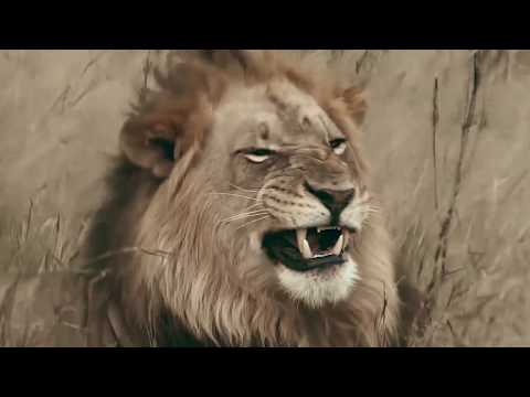 Dubkiller & Mark Victor - Heart of a Lion