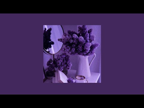 A gentle playlist to feel like lavender || {soothing songs}