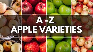 A TO Z Apple varieties  Different types of apple v