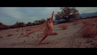 Nathaniel Eras - Shadows Roam Feat. Alexandra Johnstone (Official Video)