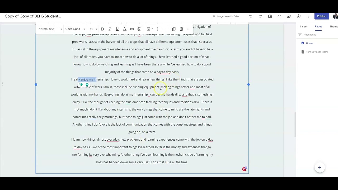 internship reflection