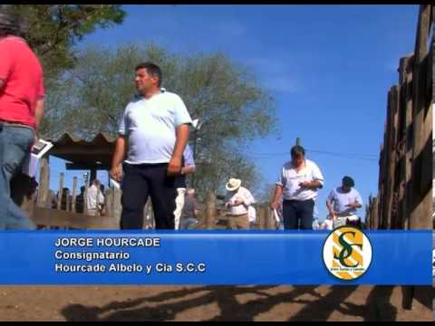 JORGE HOURCADE - Hourcade Albelo y Cía. S.C.C. - Rauch - 29/10/2013