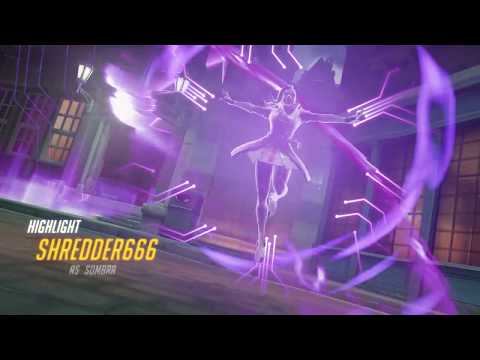 rein/sombra combo