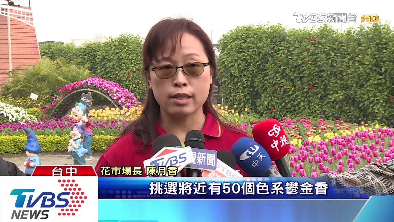 鬱金香朵朵開 后里打造溫帶荷蘭風情