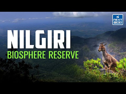 Next IAS Delhi Video 1