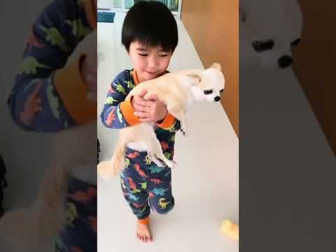 มีพบก็ต้องมีจากนะลููก #บู #Boo ￼