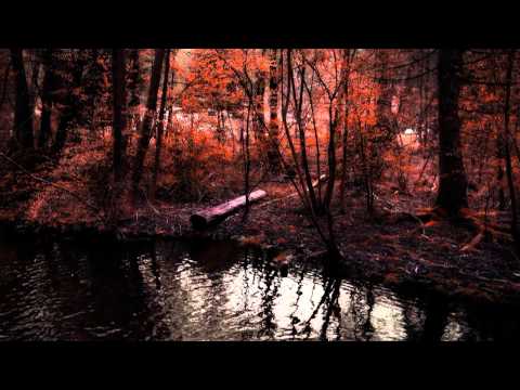 Fjaer - The Phoenix dropped her feather and i picked it up