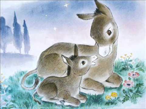 Ronta the Lucky Donkey