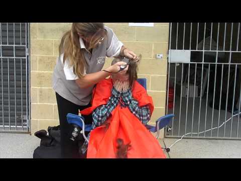 Stacy does the Worlds Greatest Shave at T-Ball