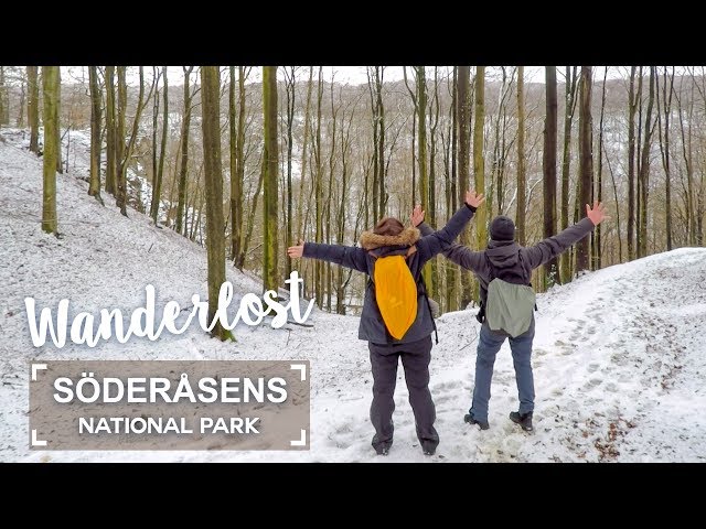 הגיית וידאו של Söderåsens Nationalpark בשנת השבדי