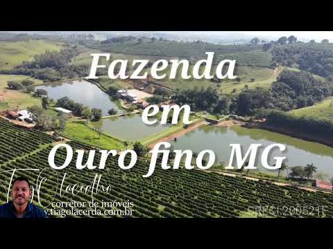 Fazenda de 140 alqueires em ouro fino.