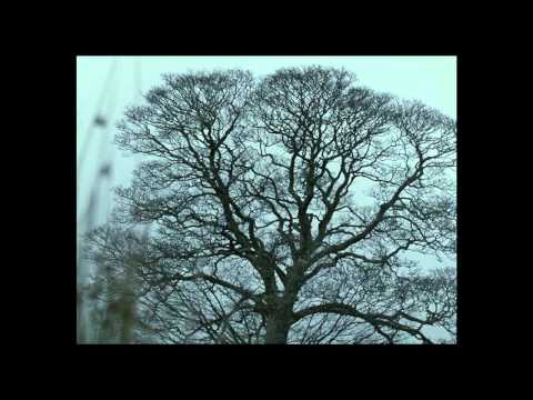 Wuthering Heights (US Trailer)