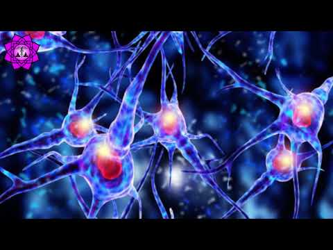 Damaged Brain Healing & Nerve Regeneration | Brain Waves Therapy Music | Binaural Beats Meditation