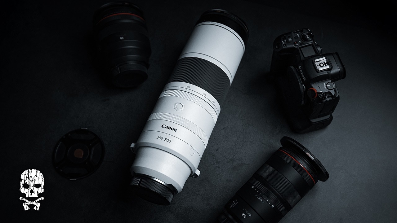 Should You Buy the Canon RF 200-800mm f/6.3-9 IS USM? Review