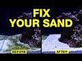 Top 10 Ways to Solve Dirty Saltwater Aquarium Sand.
