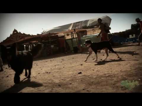 Freedom Festival 2017 - Promo II