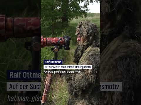 Video Thumbnail: Eisvögel, Biber und Co.: Unterwegs mit dem Elde-Ranger  #ndr #ndrdoku #doku #nature #ranger