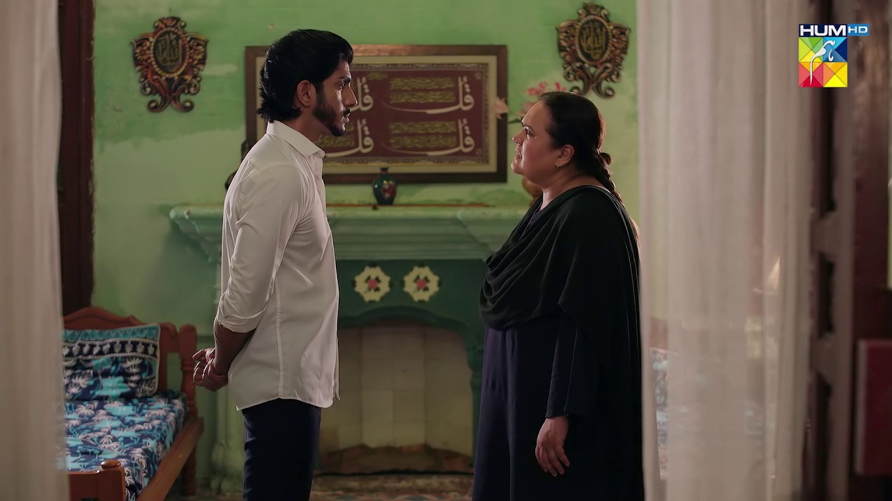 Tumhe Manal Ko Ghar Se Nahi Nikalna Chahiye Tha..! Musafat - HUM TV