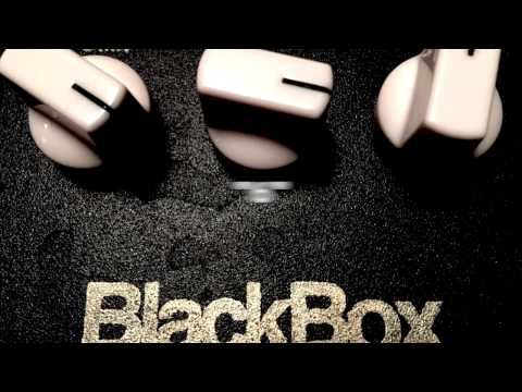 Snouse BlackBox Original Big Box with Fender Single Coils