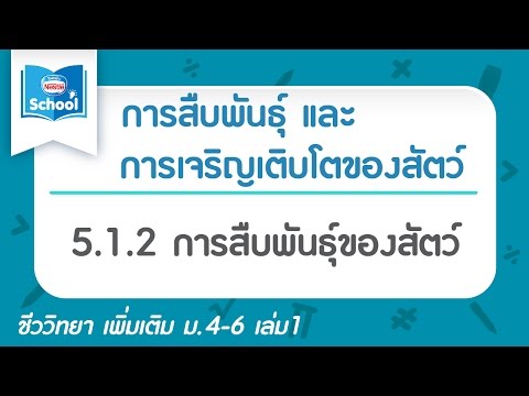 ขยายขนาดหน้าอกเป็นเวลา 6 วัน หนึ่งในนักร้องหน้าอกเล็ก