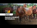 Curso Administração da Pequena Empresa Rural