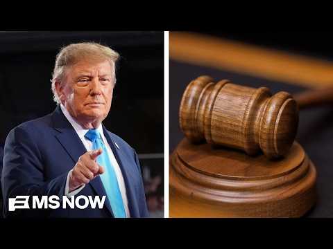 ‘Tactic of vigilantes’: Democrats fight back against Trump’s voter intimidation efforts