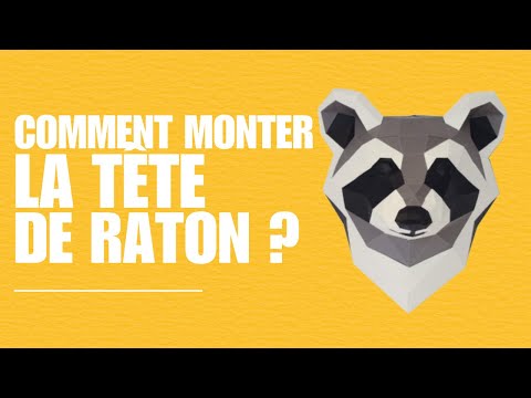 Raton - vidéo de présentation
