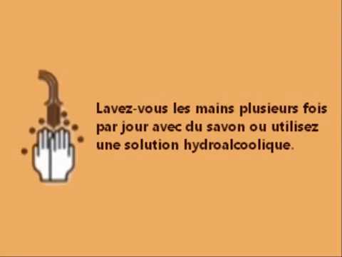 Prévention Grippe A [H1N1]