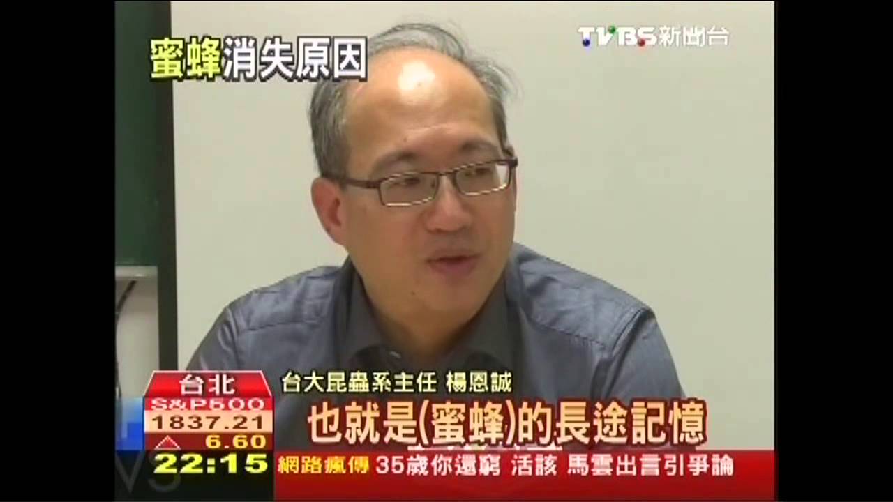 忘了回家的路 殺蟲劑讓蜜蜂變笨了!