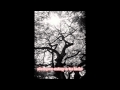 seremedy always by your side sub español 