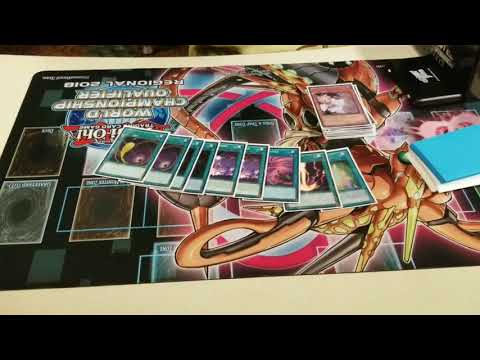 Kissimmee Regionals AUG. 2017 Top 8 Patrick Metayer Pure Zoodiac Deck Profile