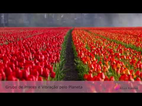 Paulo Caldeiras - O Poder da Prece