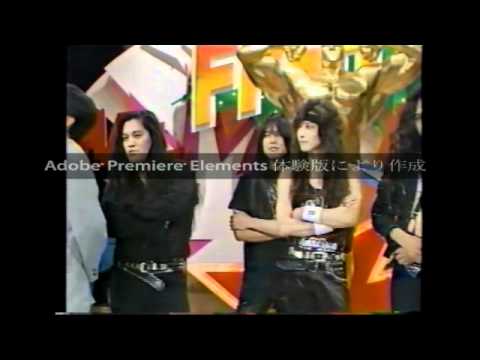 download lagu mp3 mp4 Emerald Forest Rhythms, download mp3 Emerald Forest Rhythms free download mp3, download mp3 Emerald Forest Rhythms