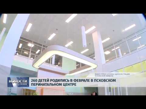05.03.2019 / 260 детей родились в феврале в Псковском перинатальном центре