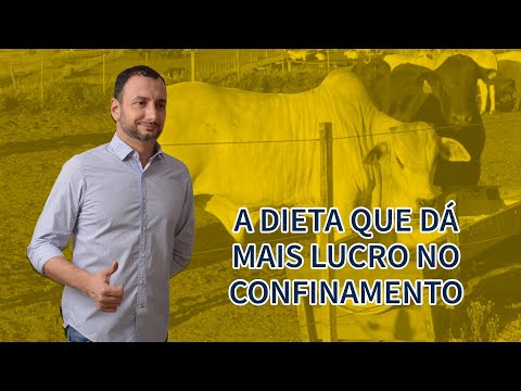Qual a dieta que dá mais lucro no confinamento?