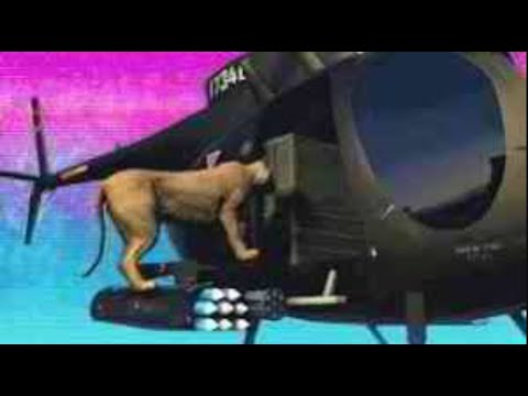 Meet the animals of GTA Online