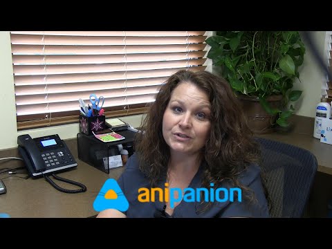 Telemedicine Chat Feature