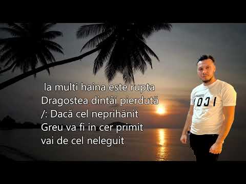 FRATELE CATALIN & FRATELE IOSIF   LA NUNTA DIN VESNICIE (COVER)