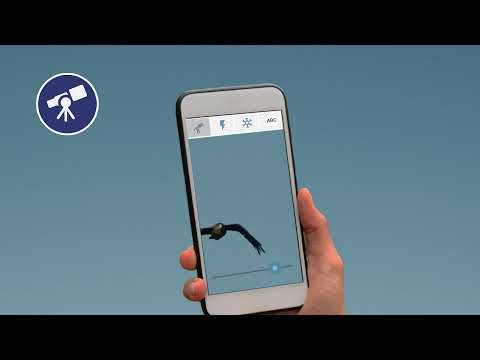 Magnifying glass & Microscope Video