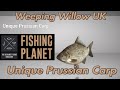Unique Prussian Carp - Weeping Willow UK - Fishing Planet Guide