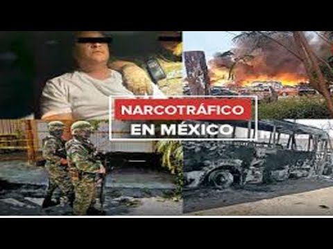 Kartelet e Meksikës, nga Sinaloa te Zetat – Cartel, Top News