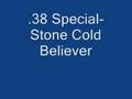 .38 Special- Stone Cold Believer