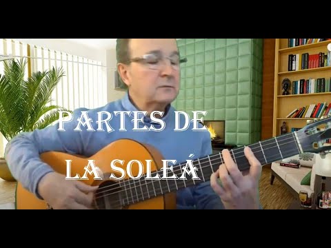El toque básico: las partes de la Soleá, en el toque y el cante flamencos