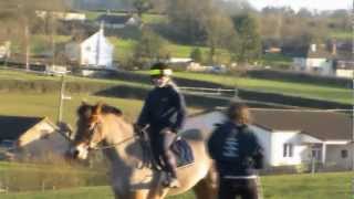 OMG ITS THE TEAM STEVENS!