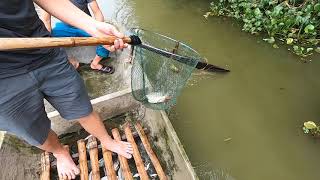 Download lagu Electric Fishing 20190416 mp3