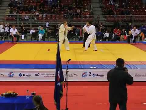 Artsrun Misakyan - Marcin Grzeszczuk KWU Kyokushin World Championship(1/8,-85kg)05.11.13,Bulgaria