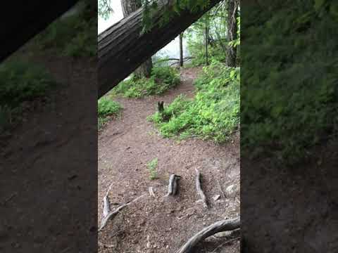 Here's a video I took so you can see the distance from the tent to Lake McDonald (Fish Creek Campground, D173)